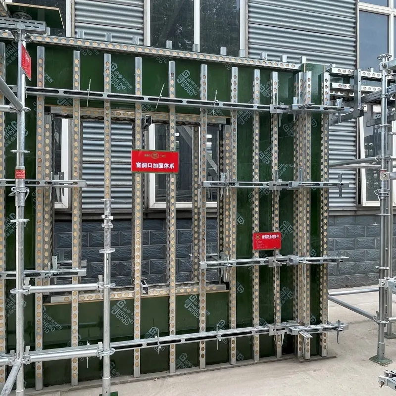 leeches scaffolding